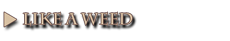 like a weed