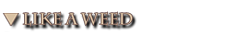 like a weed